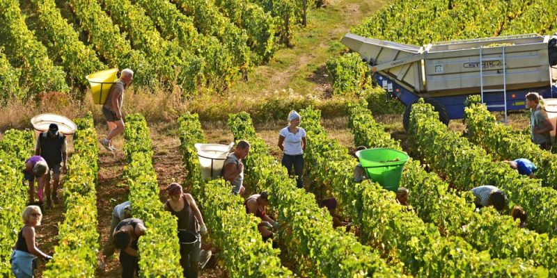 SE SOLICITA OPERARIOS DE MAQUINARIAS AGRICOLAS POSTULA